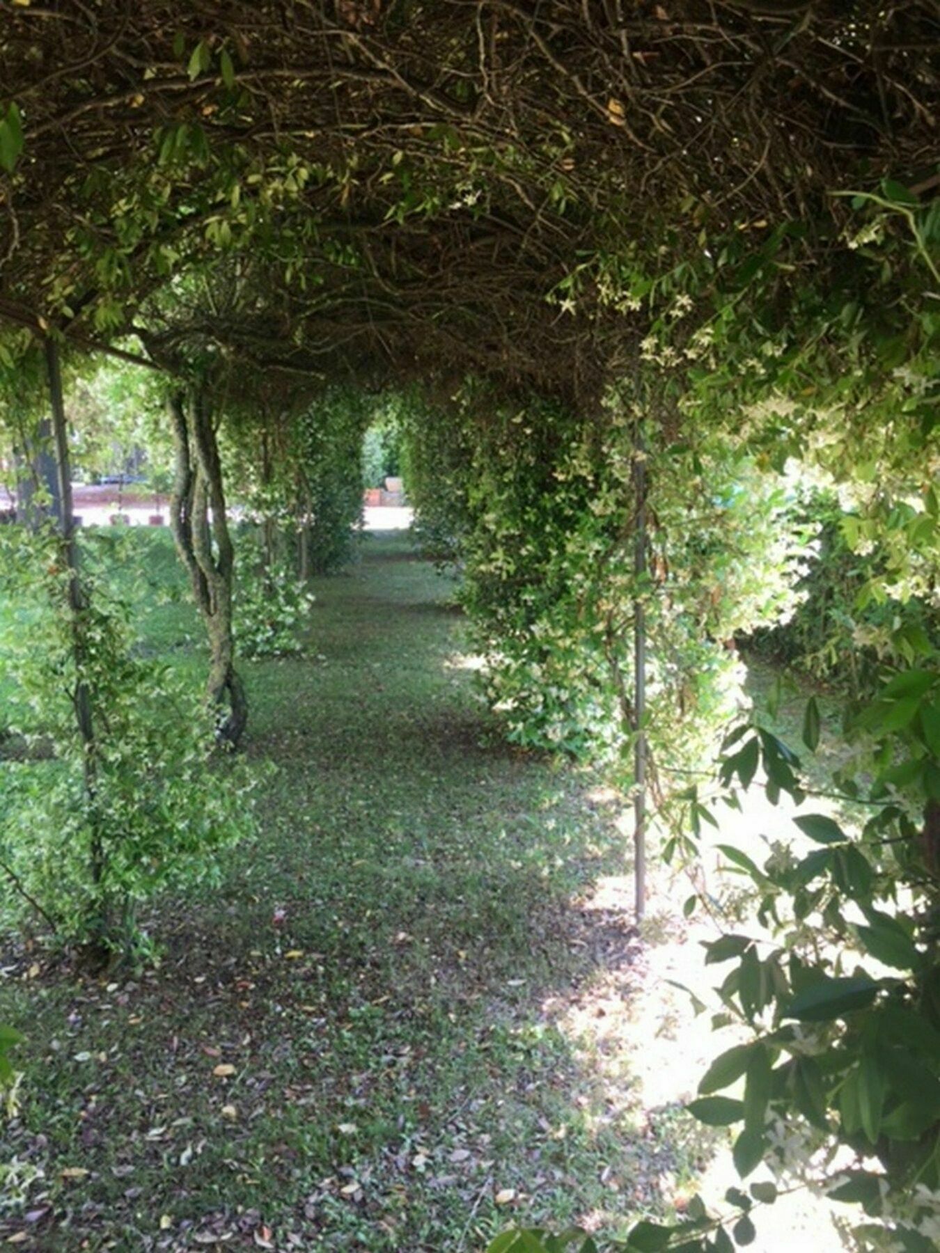 Relais Montemaggiore Bettolle Luaran gambar